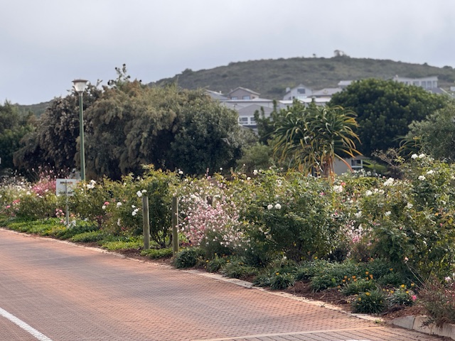 0 Bedroom Property for Sale in Monte Christo Western Cape